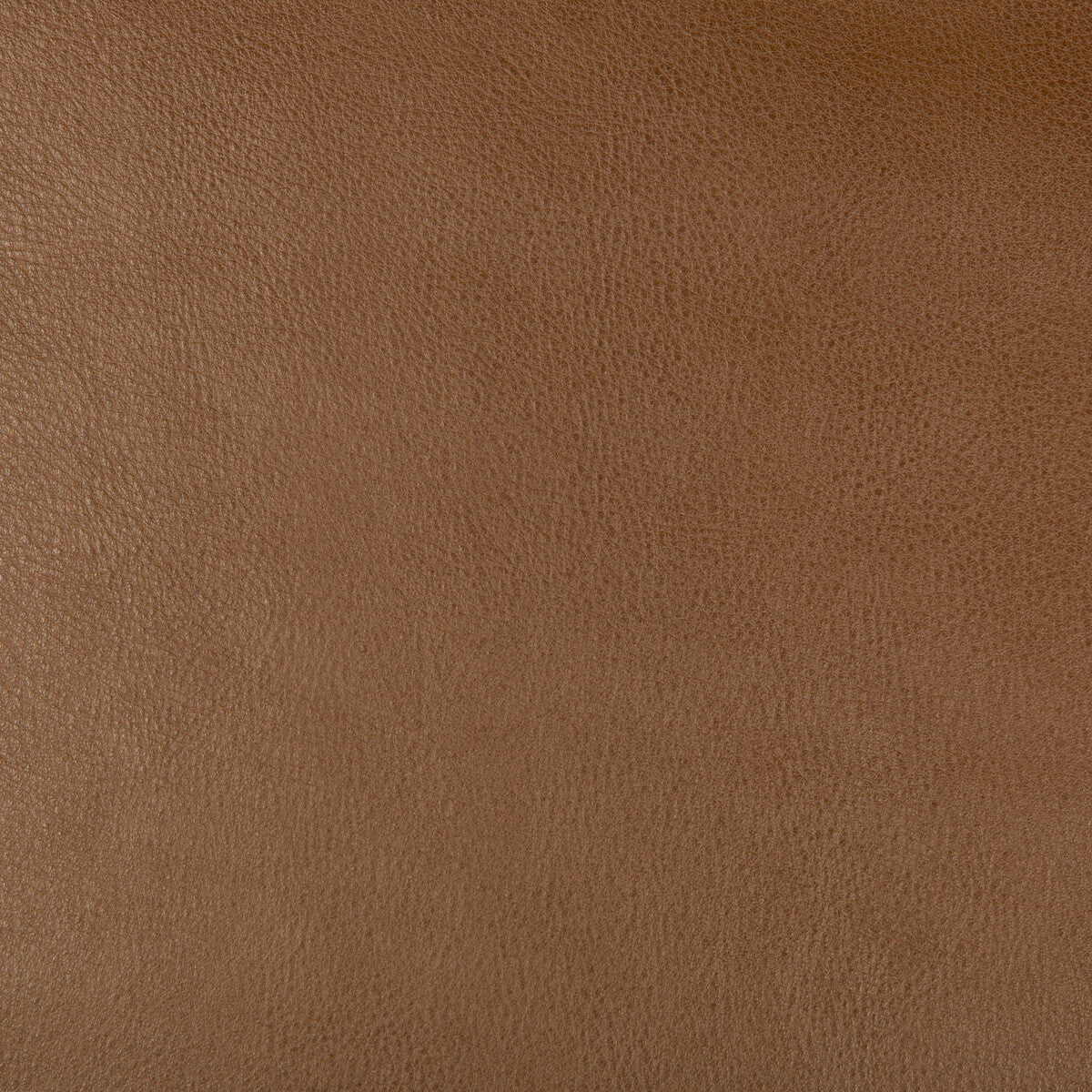 KRAVET DESIGN KRAVET DESIGN DUST-6