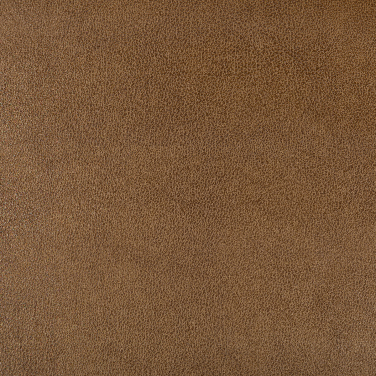 KRAVET DESIGN KRAVET DESIGN DUST-616