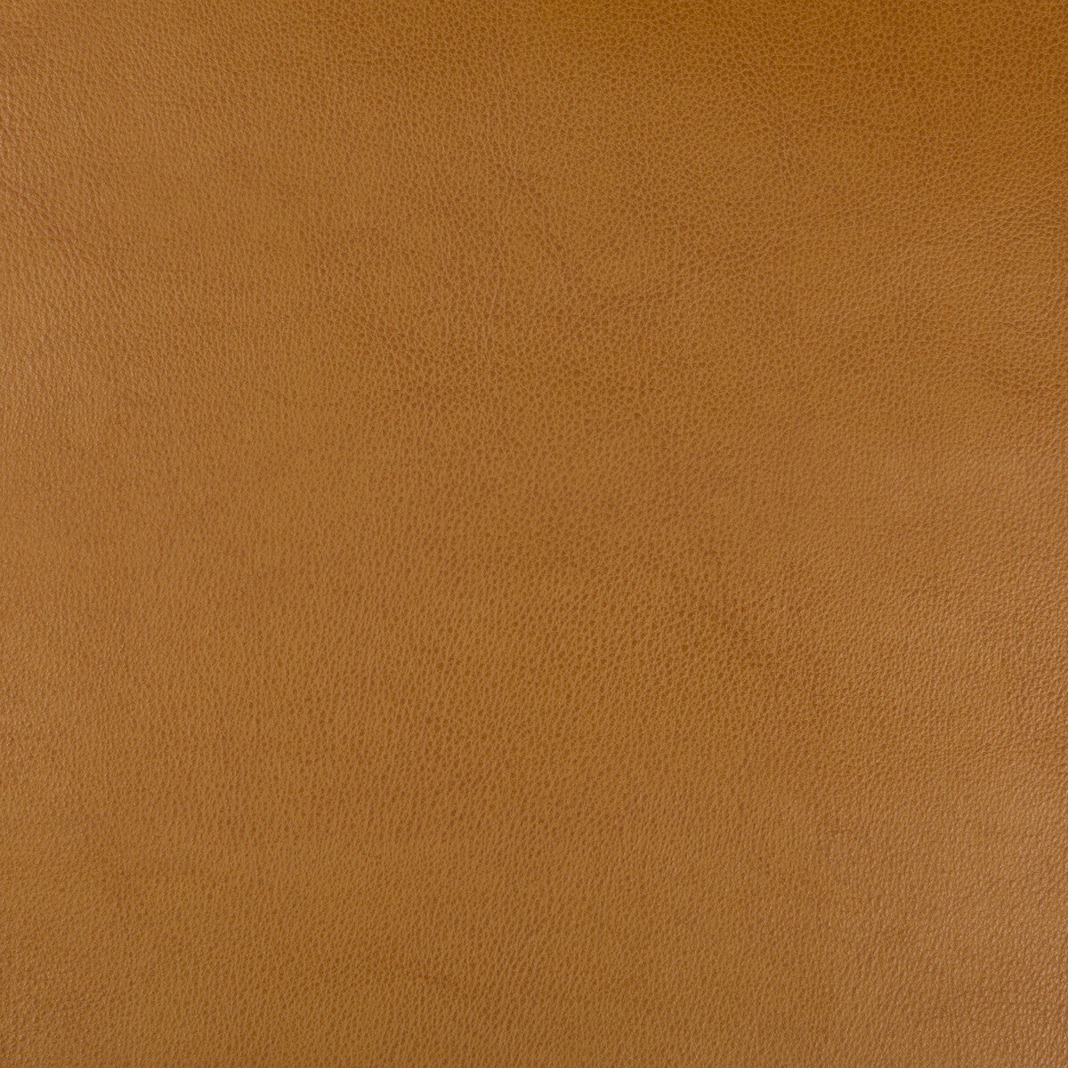 KRAVET DESIGN KRAVET DESIGN DUST-624