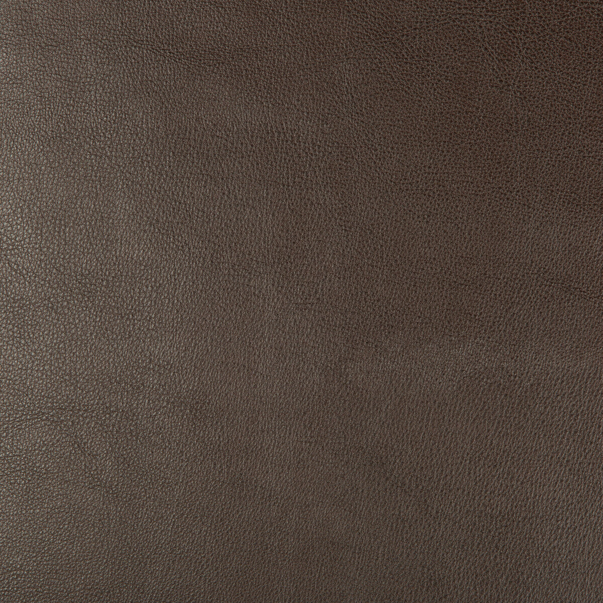KRAVET DESIGN KRAVET DESIGN DUST-66
