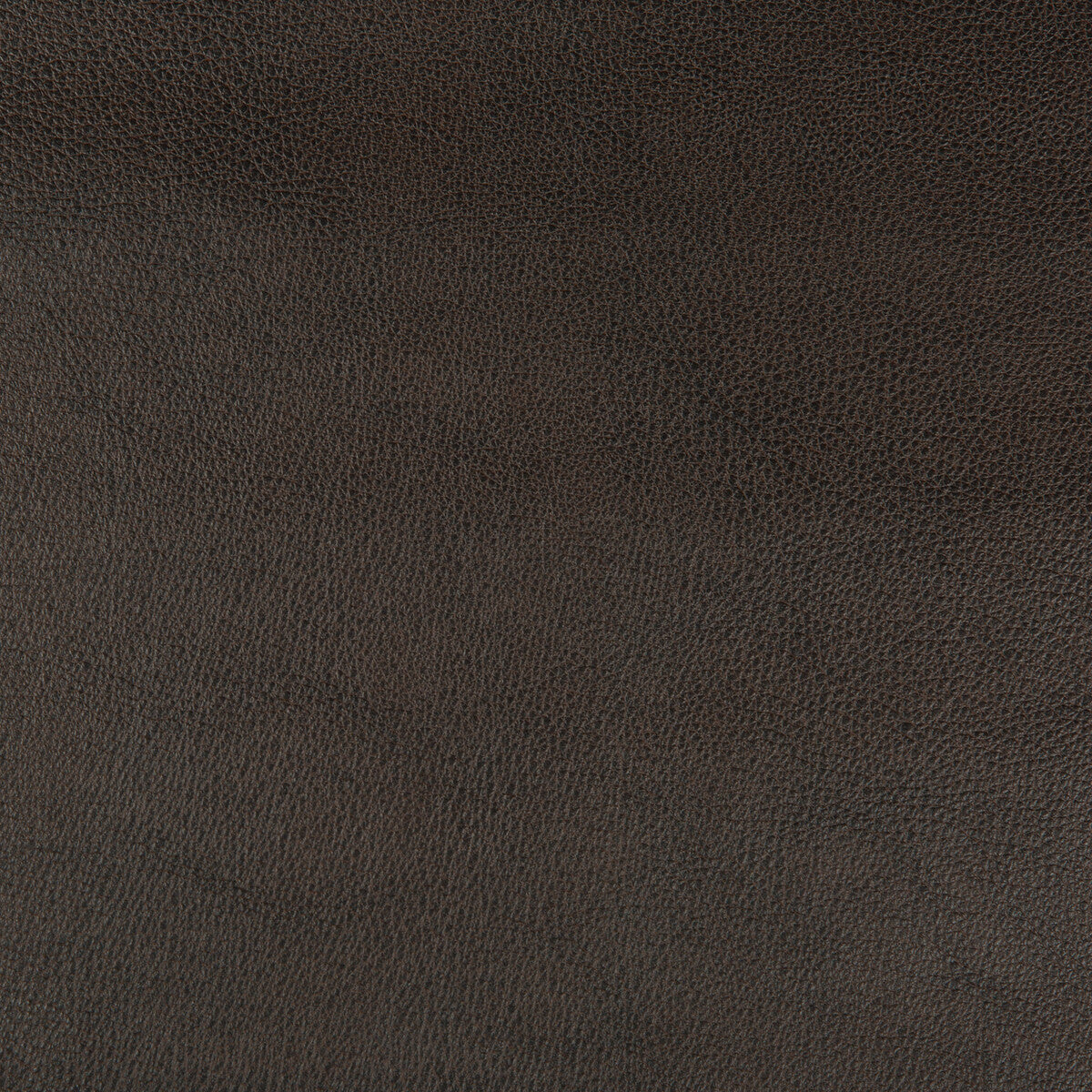 KRAVET DESIGN KRAVET DESIGN DUST-86