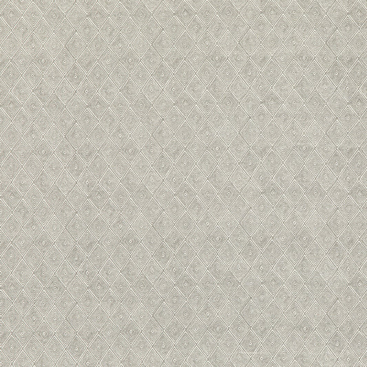 THREADS BOUNDARY DOVE