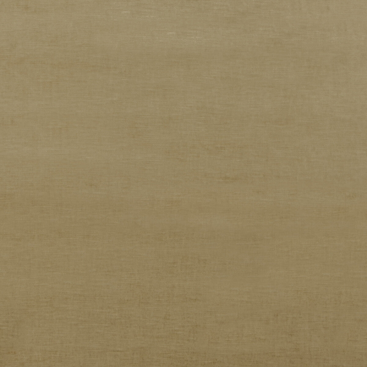 THREADS MERIDIAN VELVET CAMEL