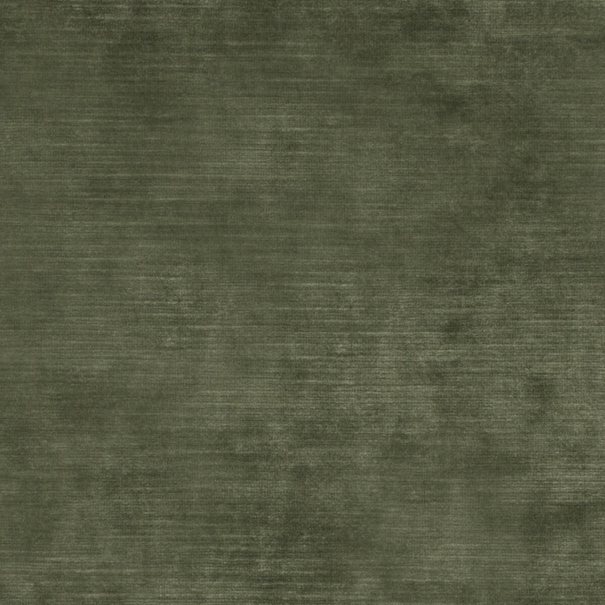 THREADS MERIDIAN VELVET FERN
