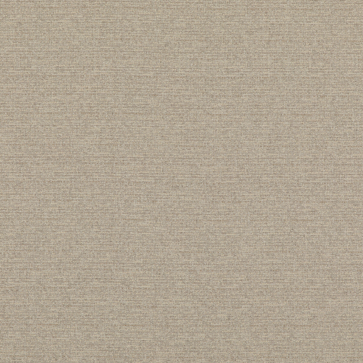 THREADS BARA IVORY