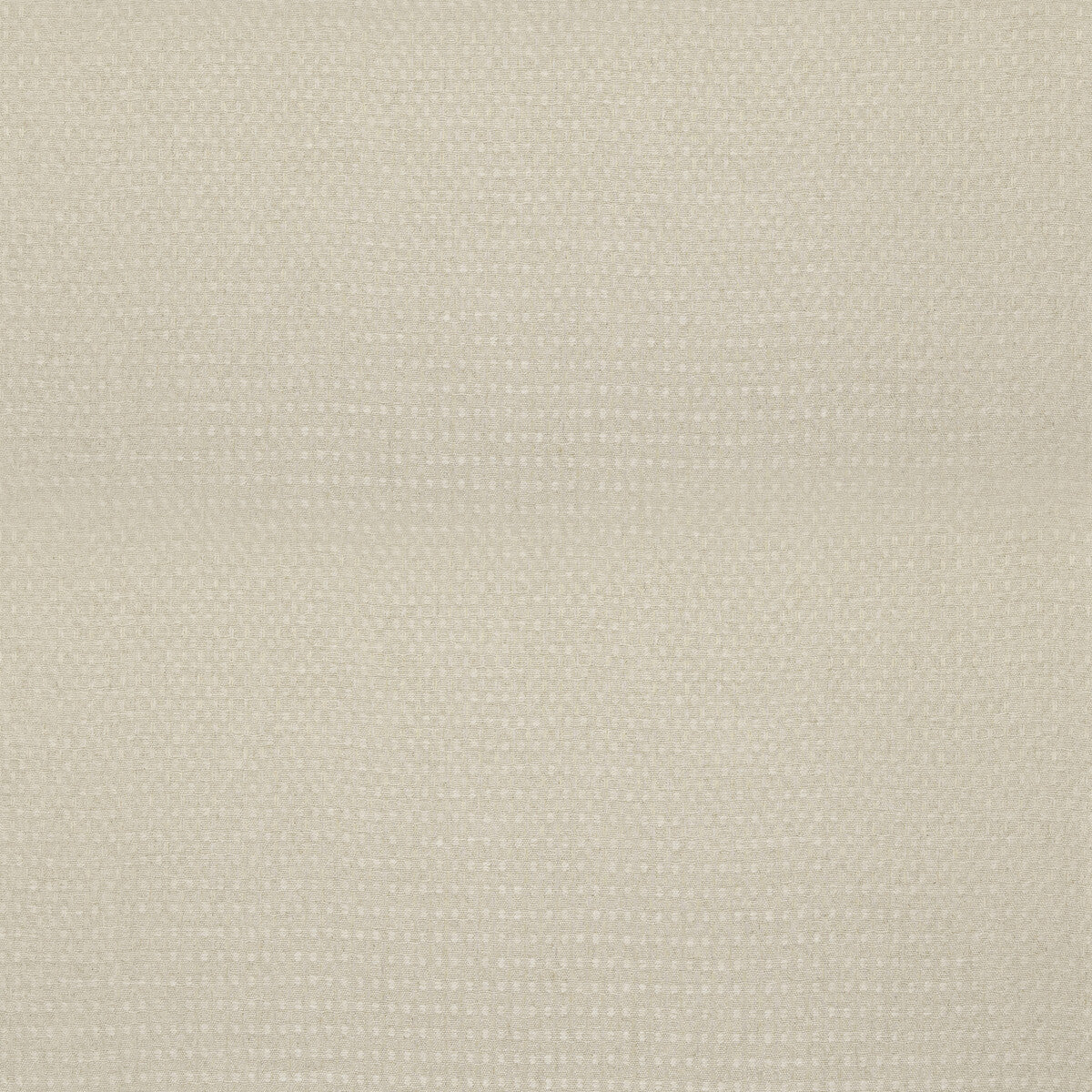 THREADS SKELLIG PARCHMENT
