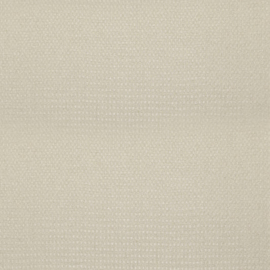 THREADS SKELLIG PARCHMENT
