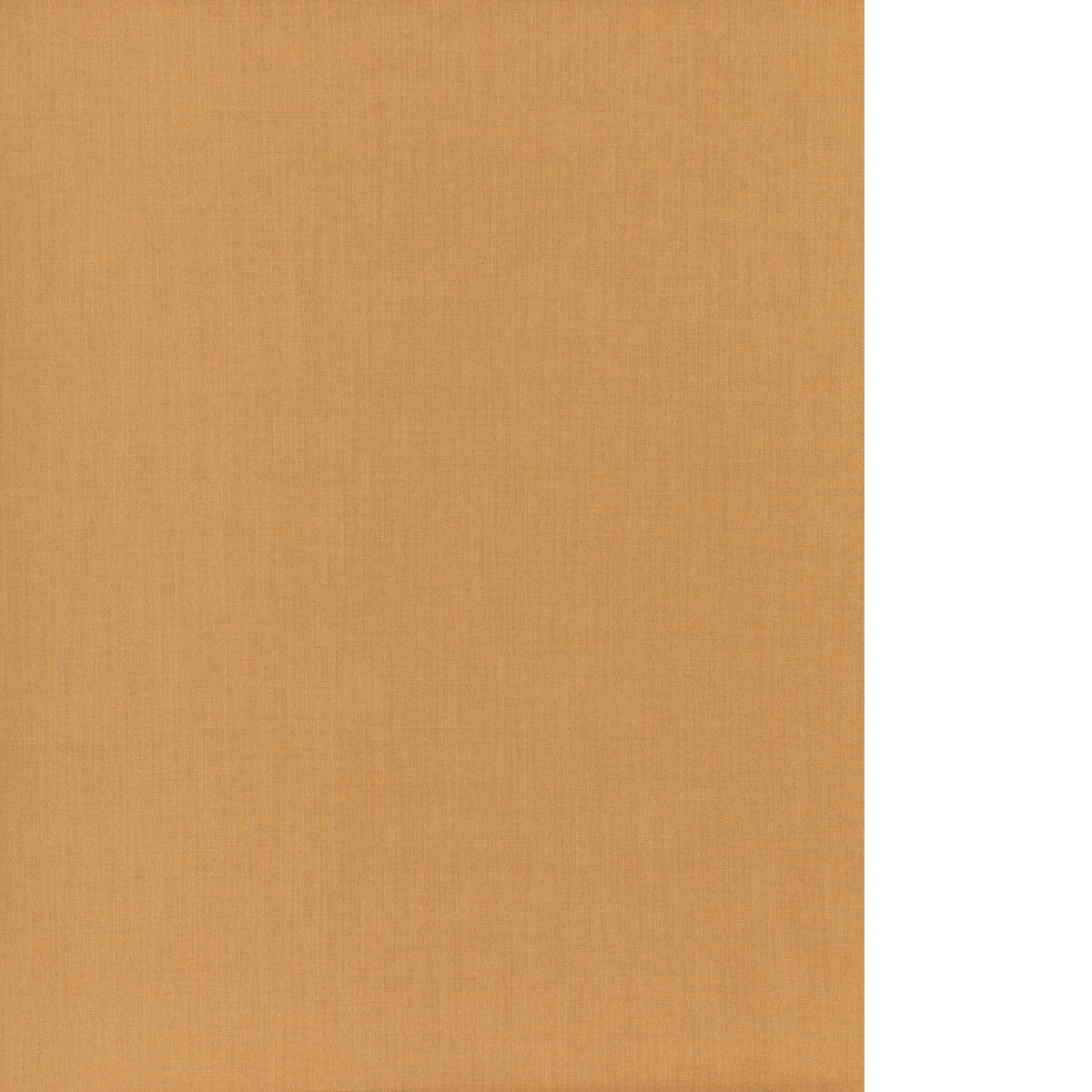 THREADS INFINITY SESAME