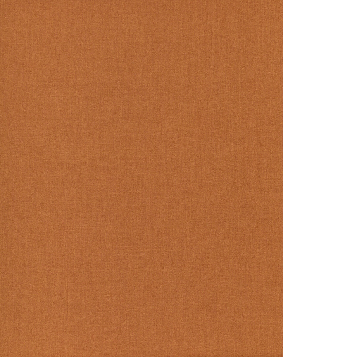 THREADS INFINITY SPICE