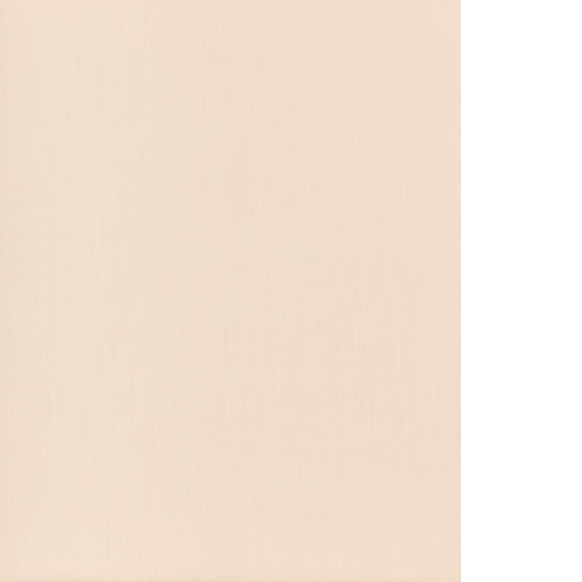 THREADS CLARITY PARCHMENT