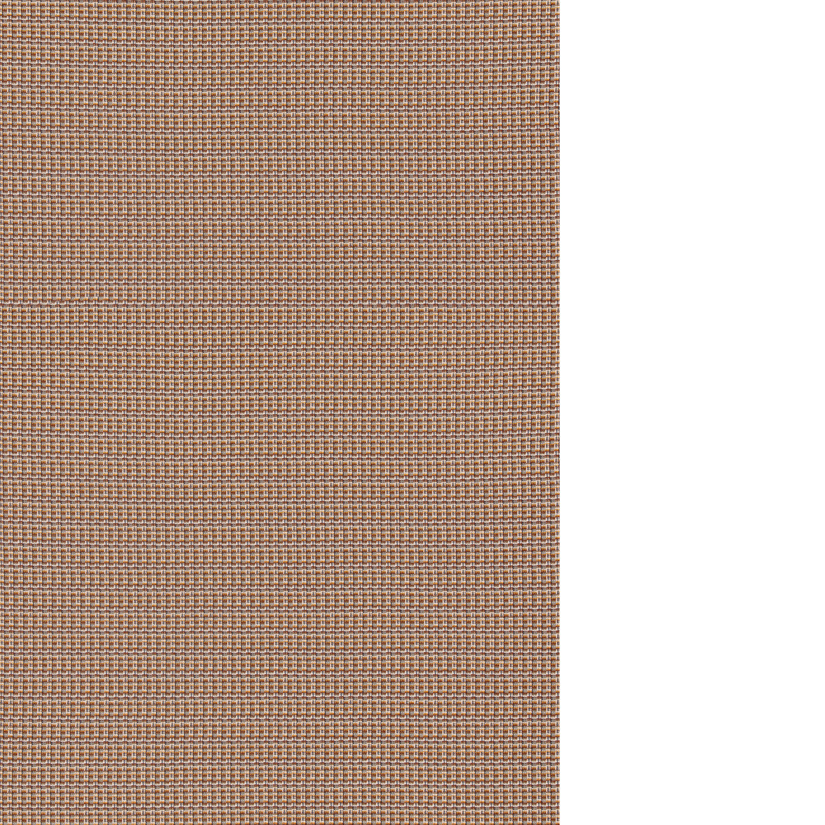 THREADS TERRAIN SUNSET