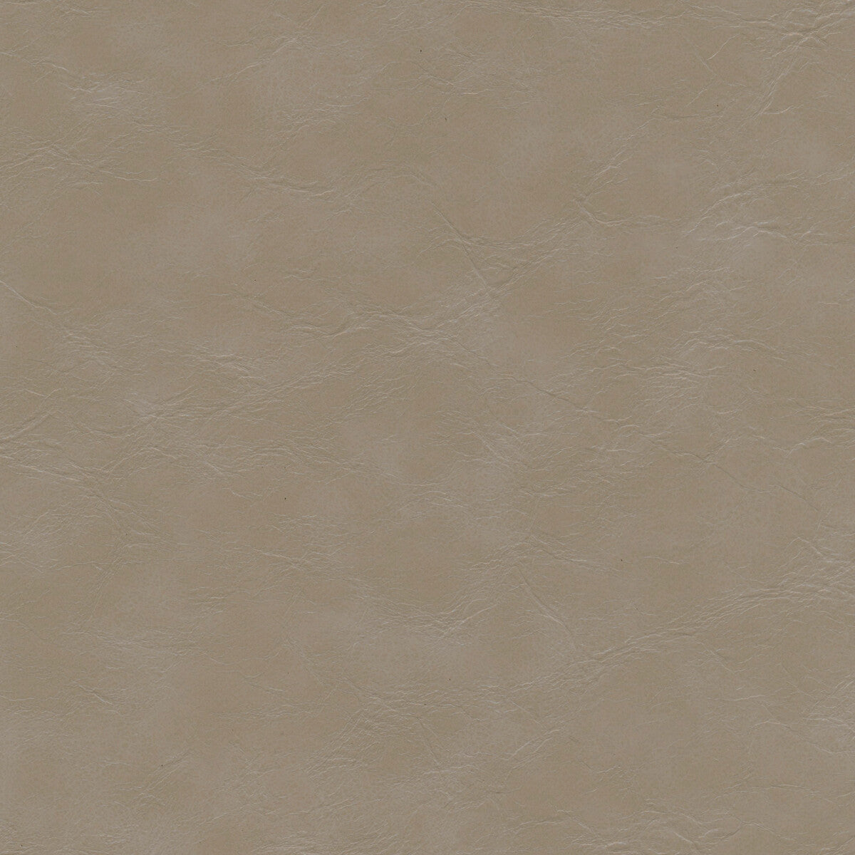 KRAVET DESIGN KRAVET DESIGN EQUINE-11