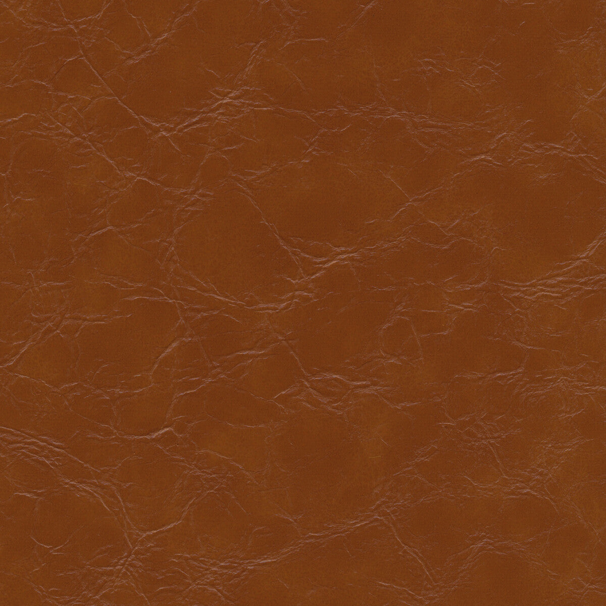 KRAVET DESIGN KRAVET DESIGN EQUINE-6