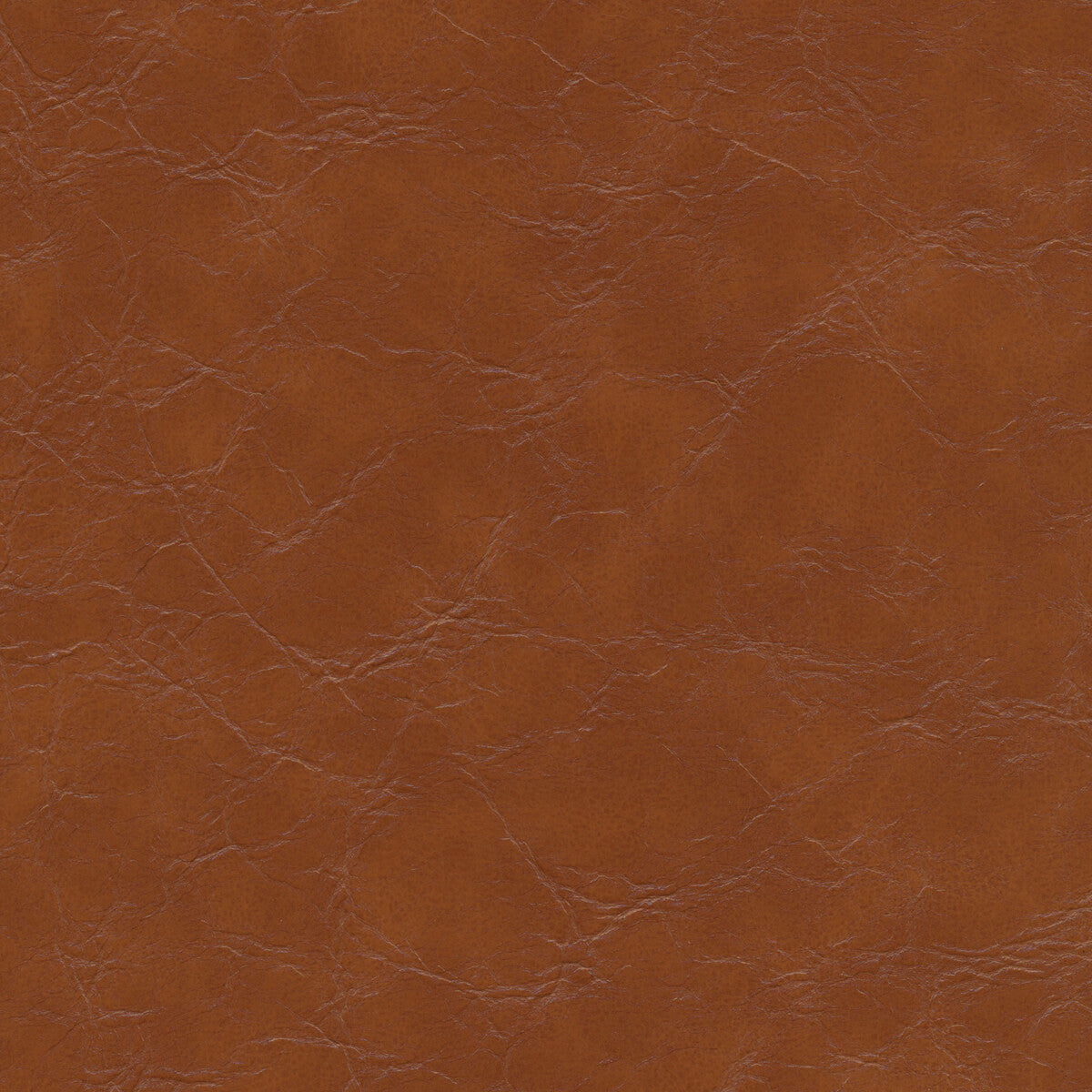 KRAVET DESIGN KRAVET DESIGN EQUINE-606