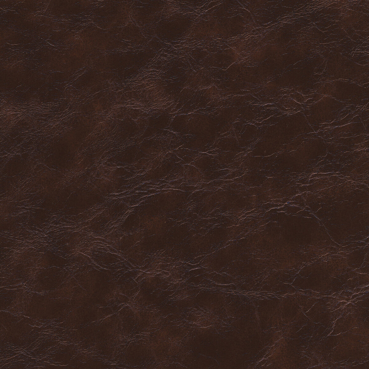 KRAVET DESIGN KRAVET DESIGN EQUINE-66