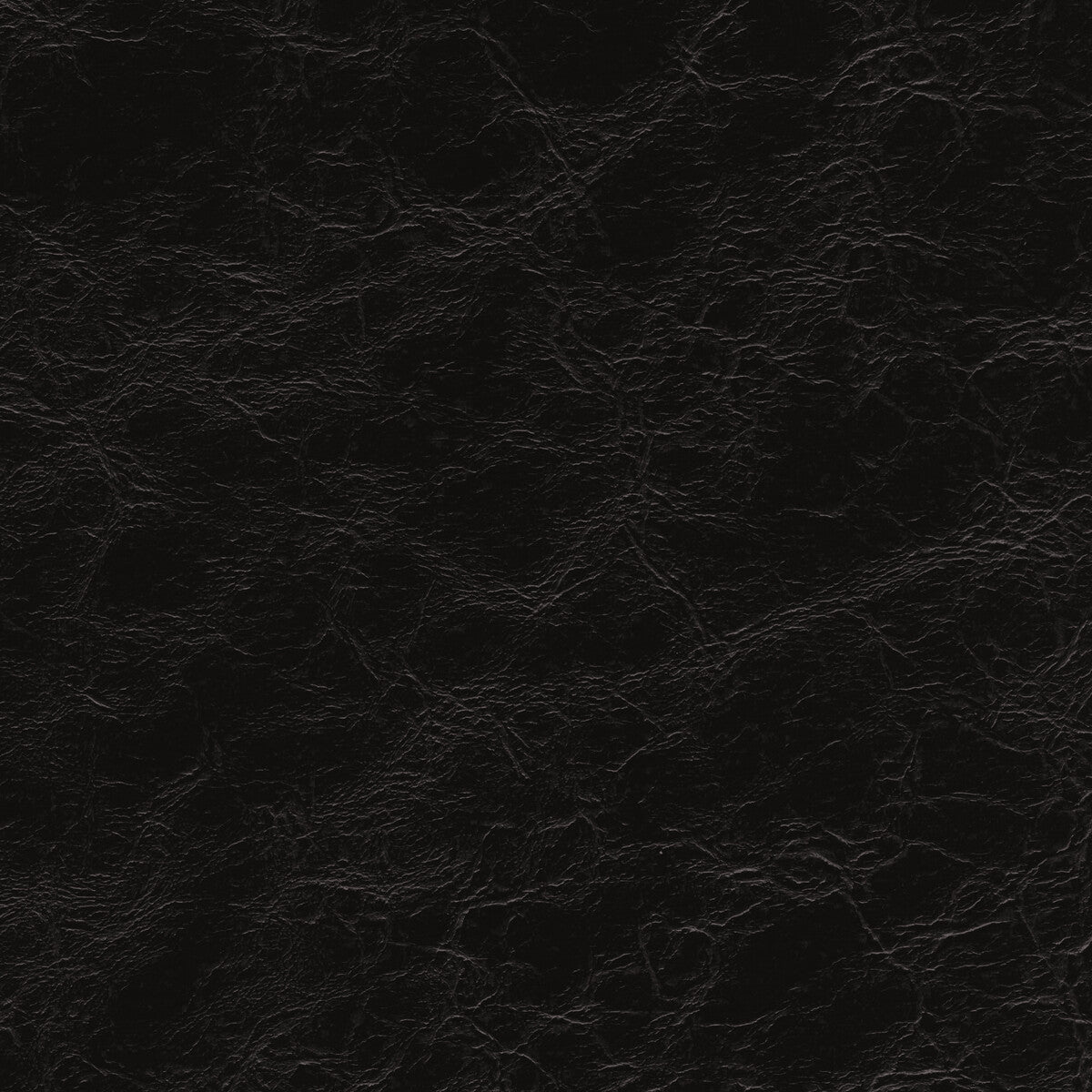 KRAVET DESIGN KRAVET DESIGN EQUINE-8