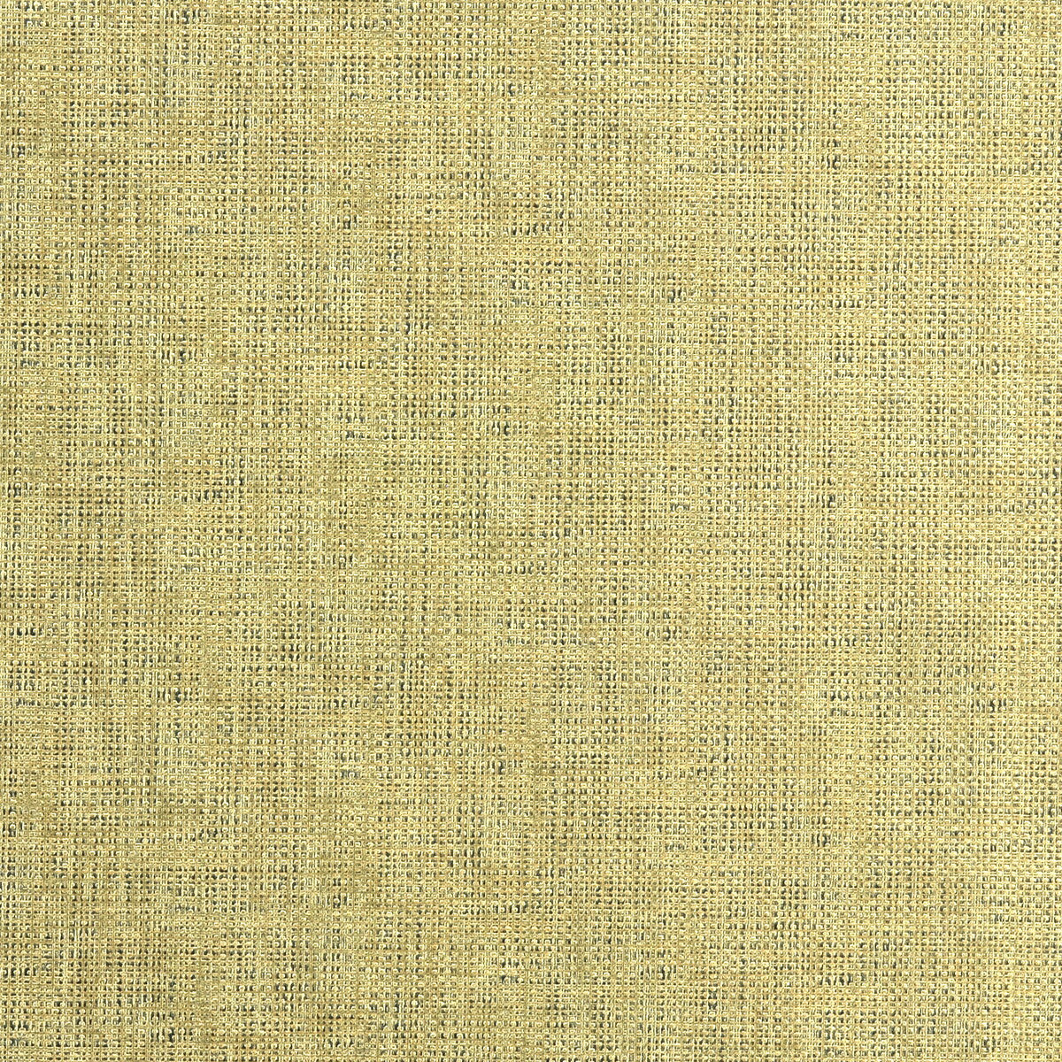 KRAVET COUTURE ETCHING GOLD