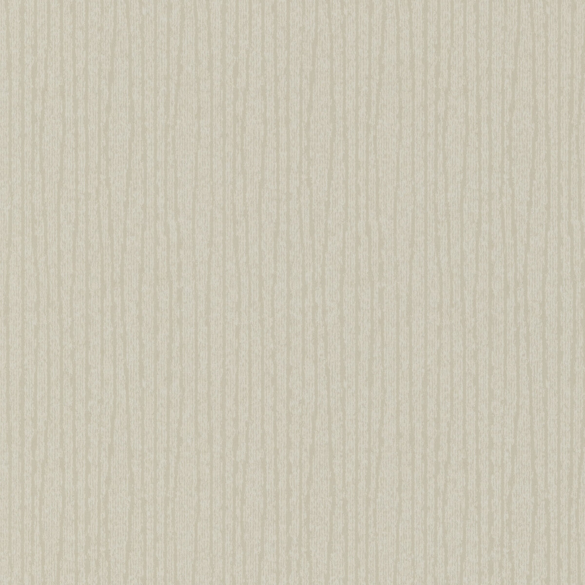 THREADS VENTRIS PARCHMENT