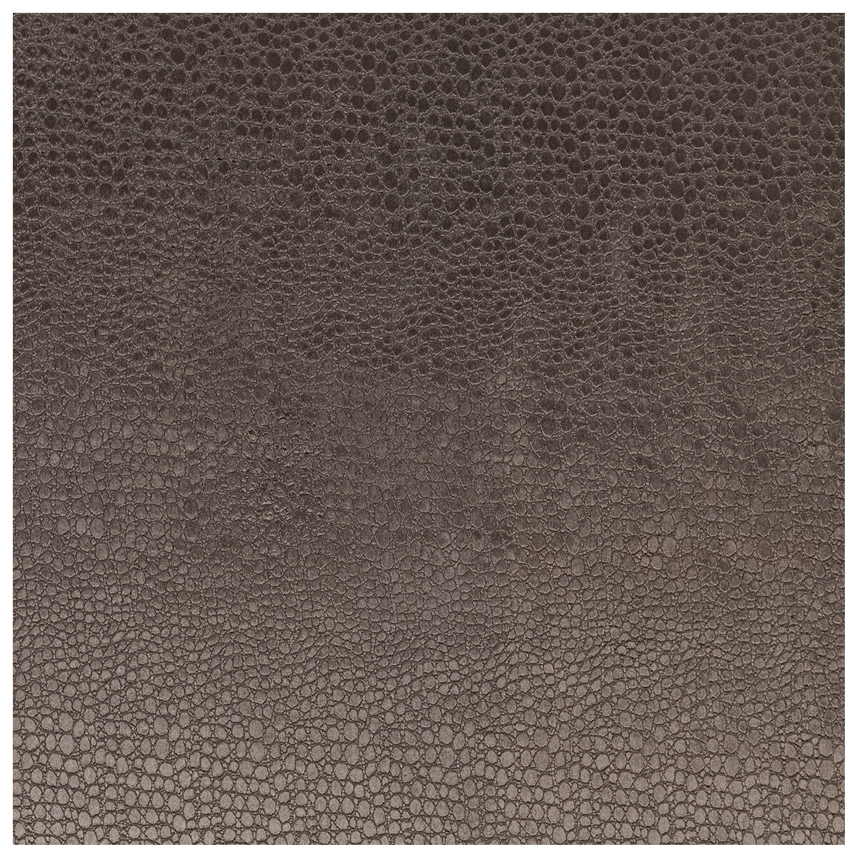 CLARKE AND CLARKE PULSE CHARCOAL