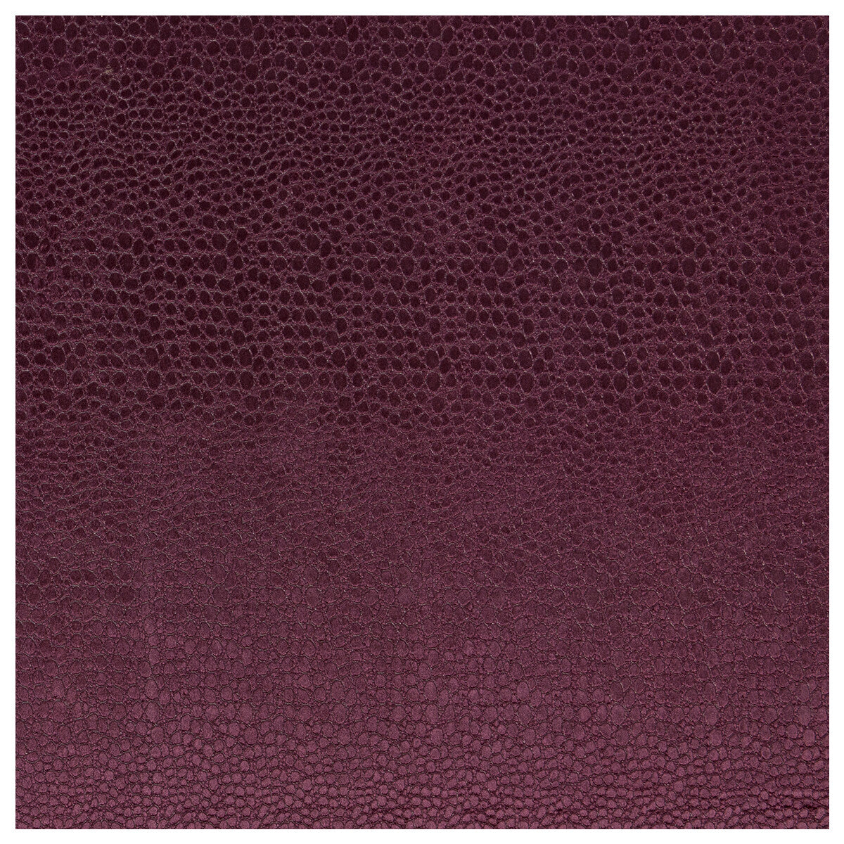 CLARKE AND CLARKE PULSE DAMSON