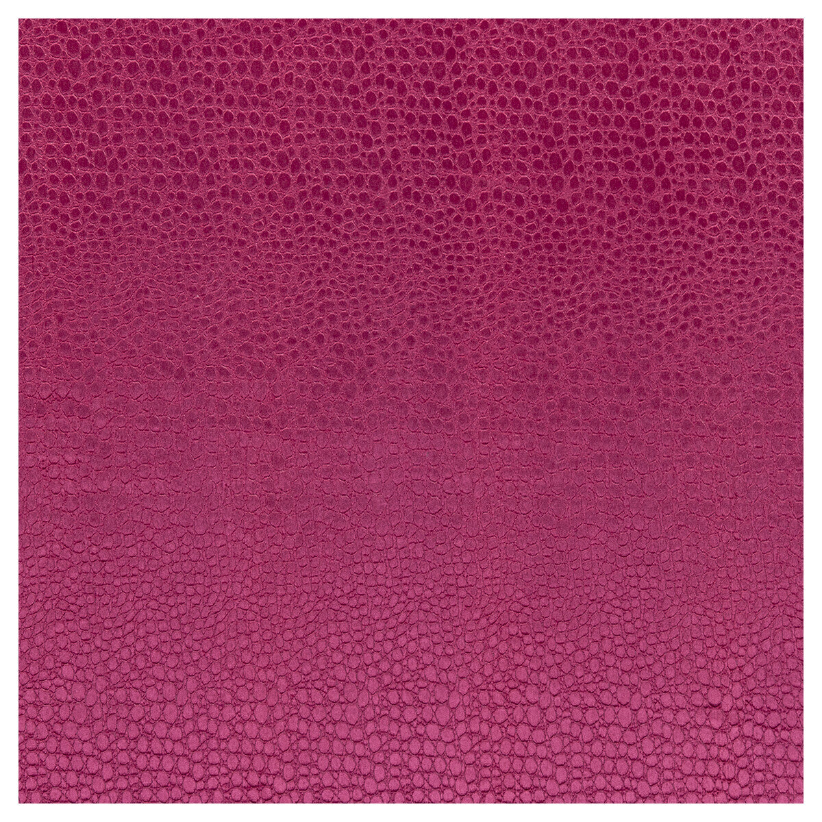 CLARKE AND CLARKE PULSE SORBET