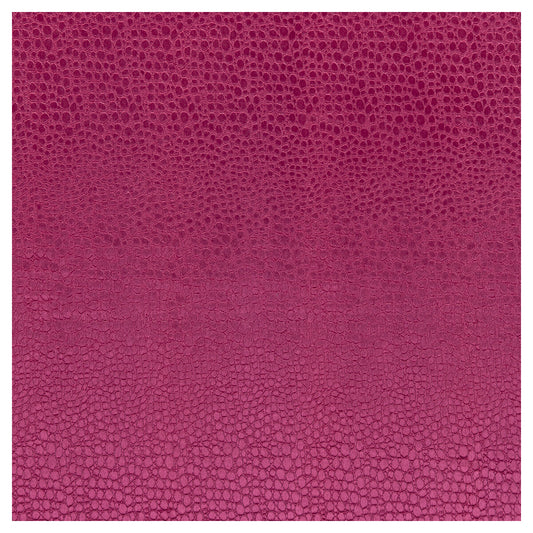 CLARKE AND CLARKE PULSE SORBET