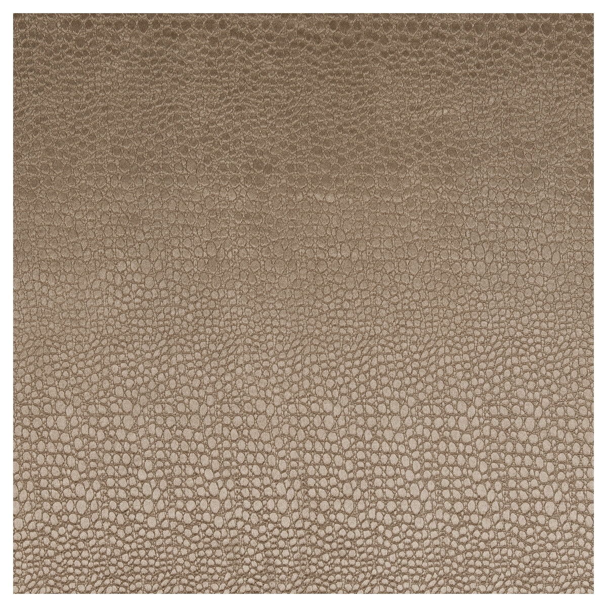 CLARKE AND CLARKE PULSE TAUPE