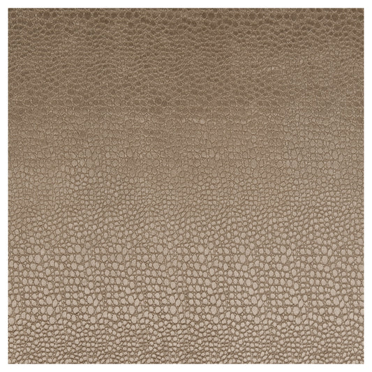 CLARKE AND CLARKE PULSE TAUPE