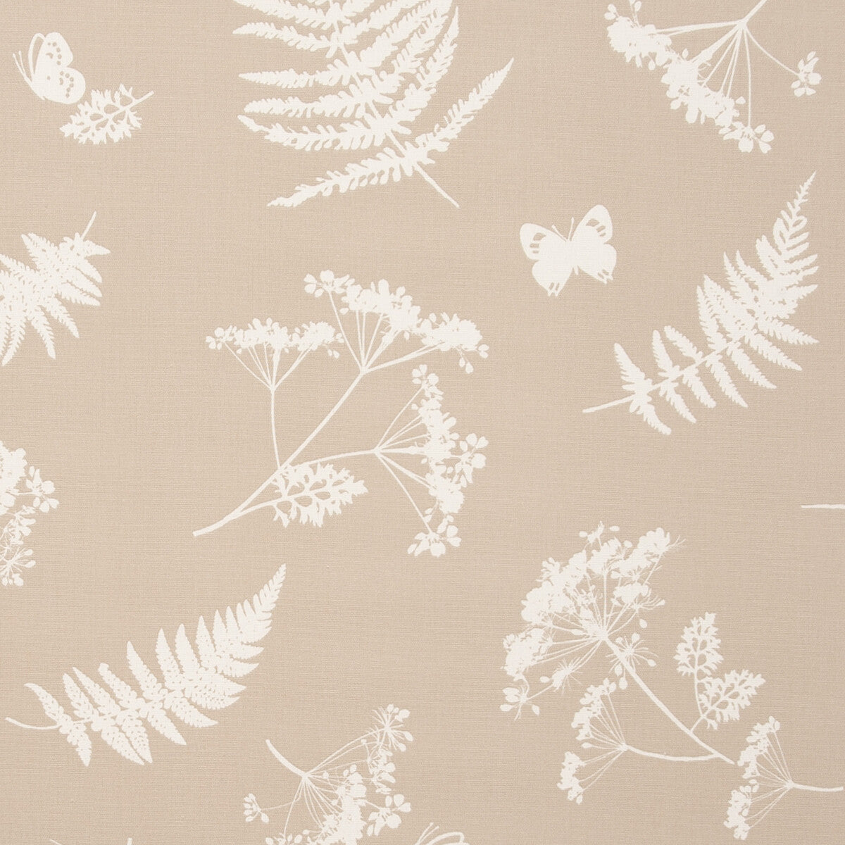 CLARKE AND CLARKE MOORLAND TAUPE