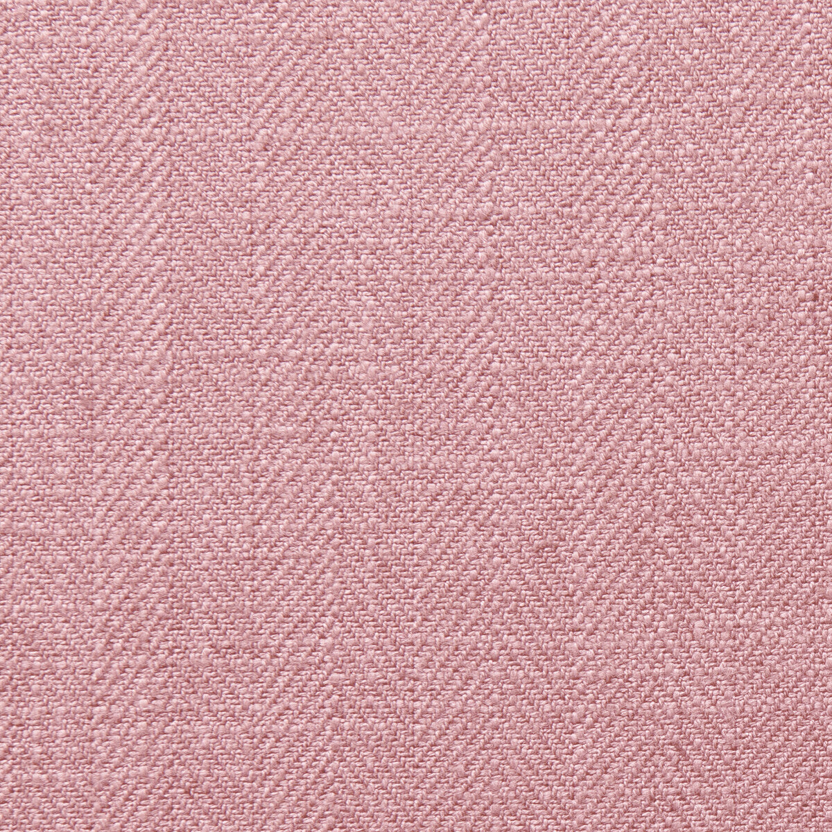 CLARKE AND CLARKE HENLEY PEONY
