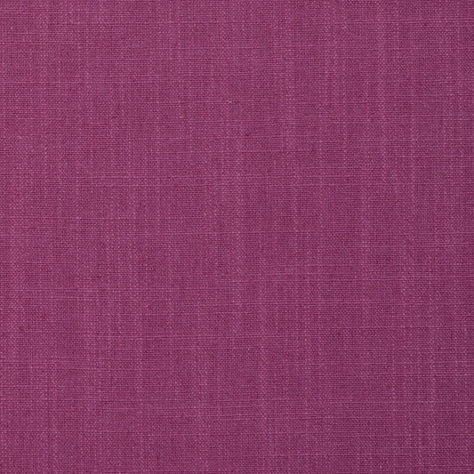 CLARKE AND CLARKE EASTON RASPBERRY