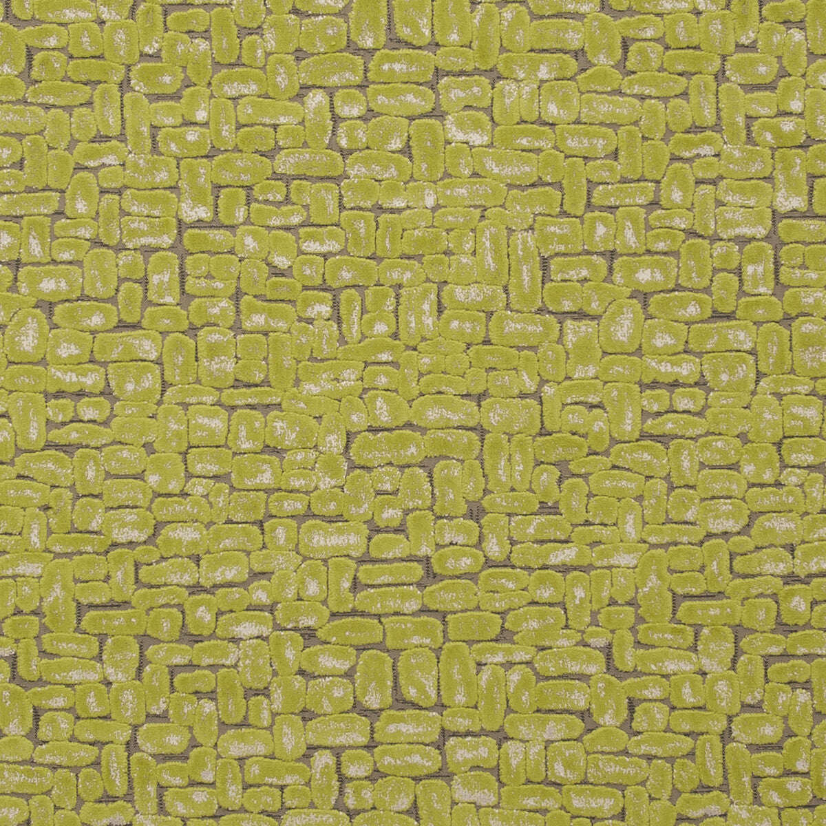 CLARKE AND CLARKE MODA CITRUS
