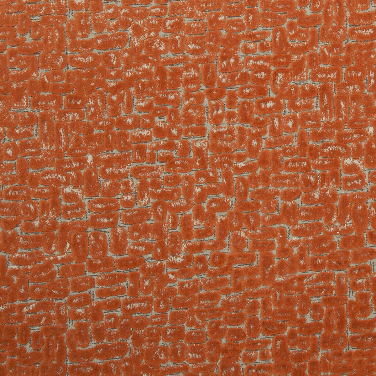 CLARKE AND CLARKE MODA SPICE