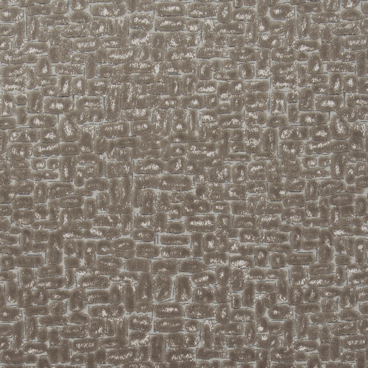 CLARKE AND CLARKE MODA TAUPE