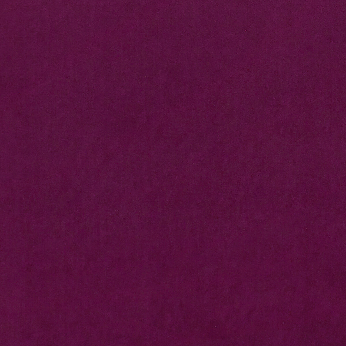 CLARKE AND CLARKE ALVAR FUCHSIA