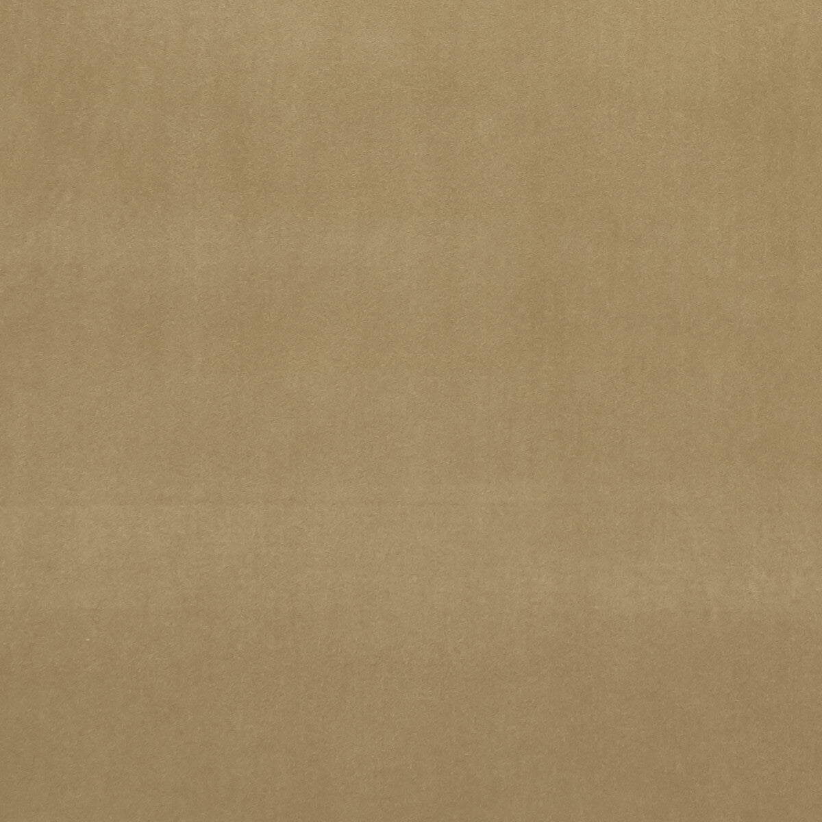 CLARKE AND CLARKE ALVAR OCHRE