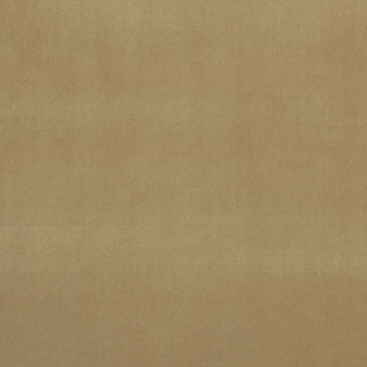 CLARKE AND CLARKE ALVAR OCHRE