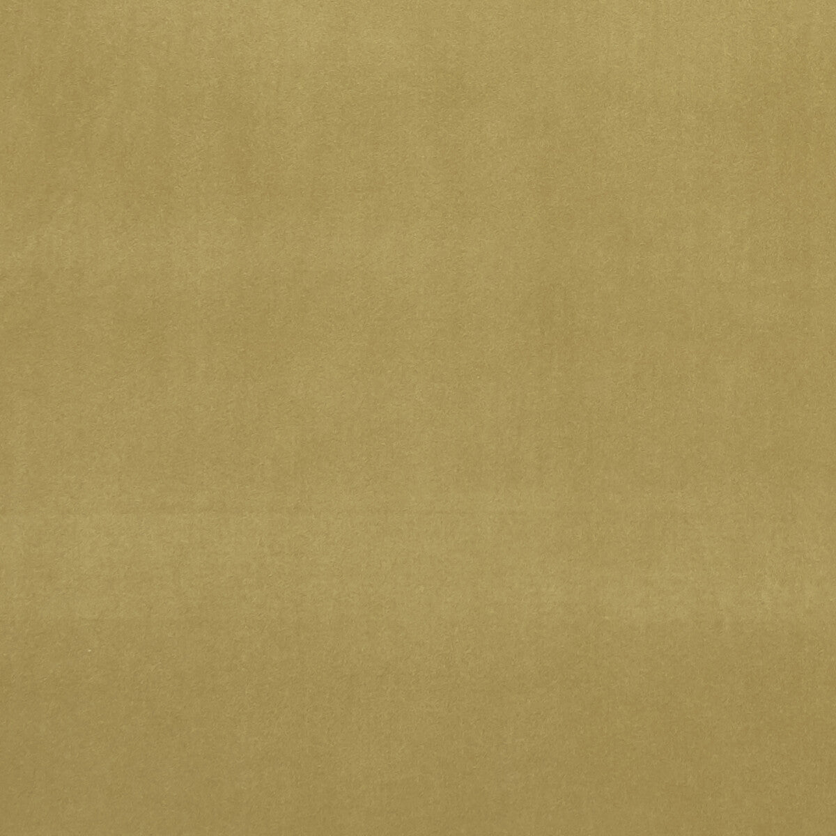 CLARKE AND CLARKE ALVAR OLIVE