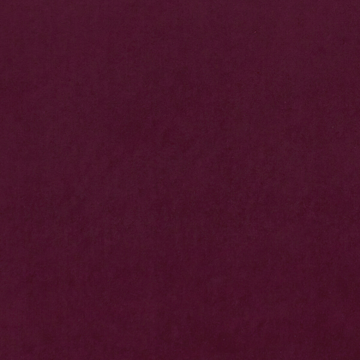 CLARKE AND CLARKE ALVAR RASPBERRY