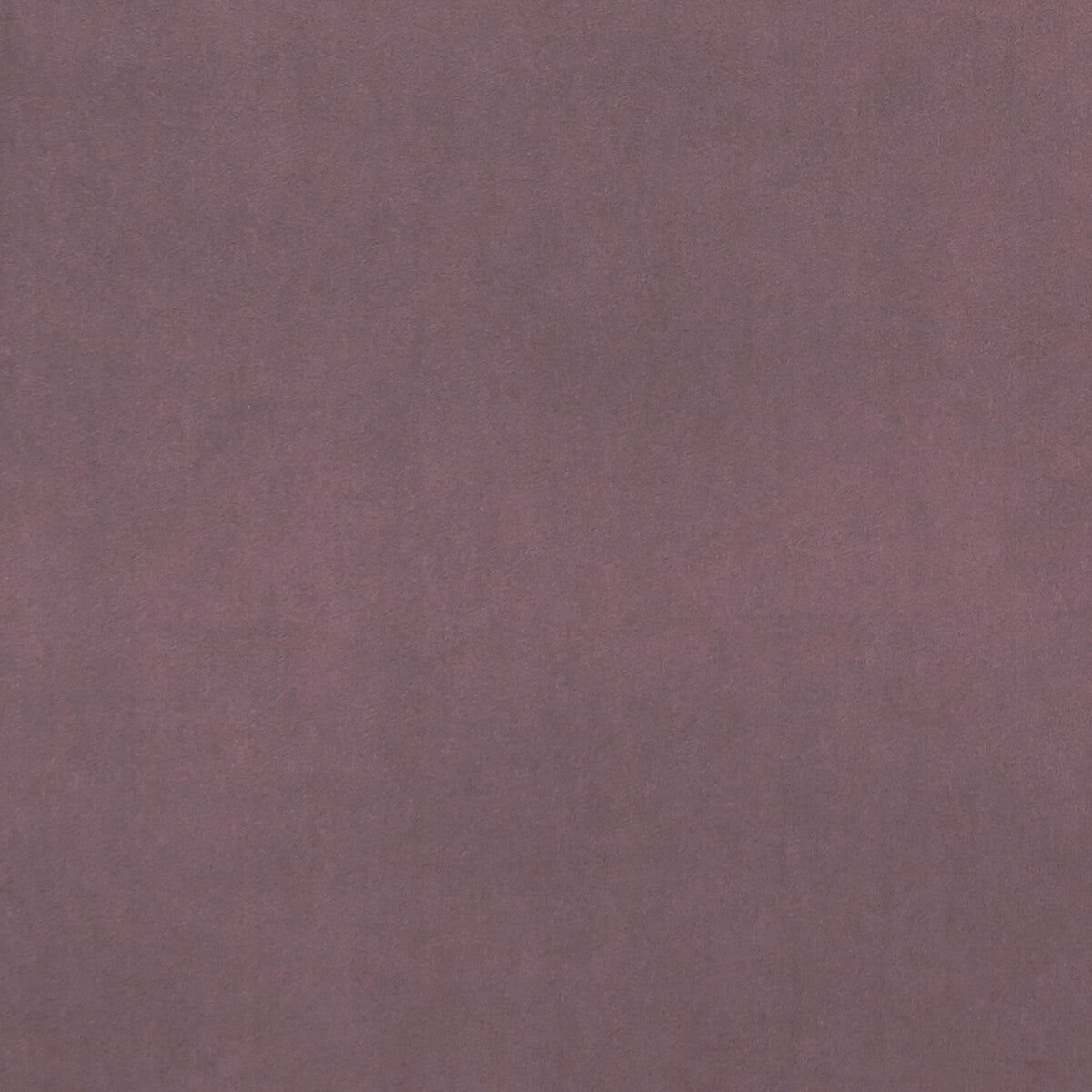 CLARKE AND CLARKE ALVAR LAVENDER
