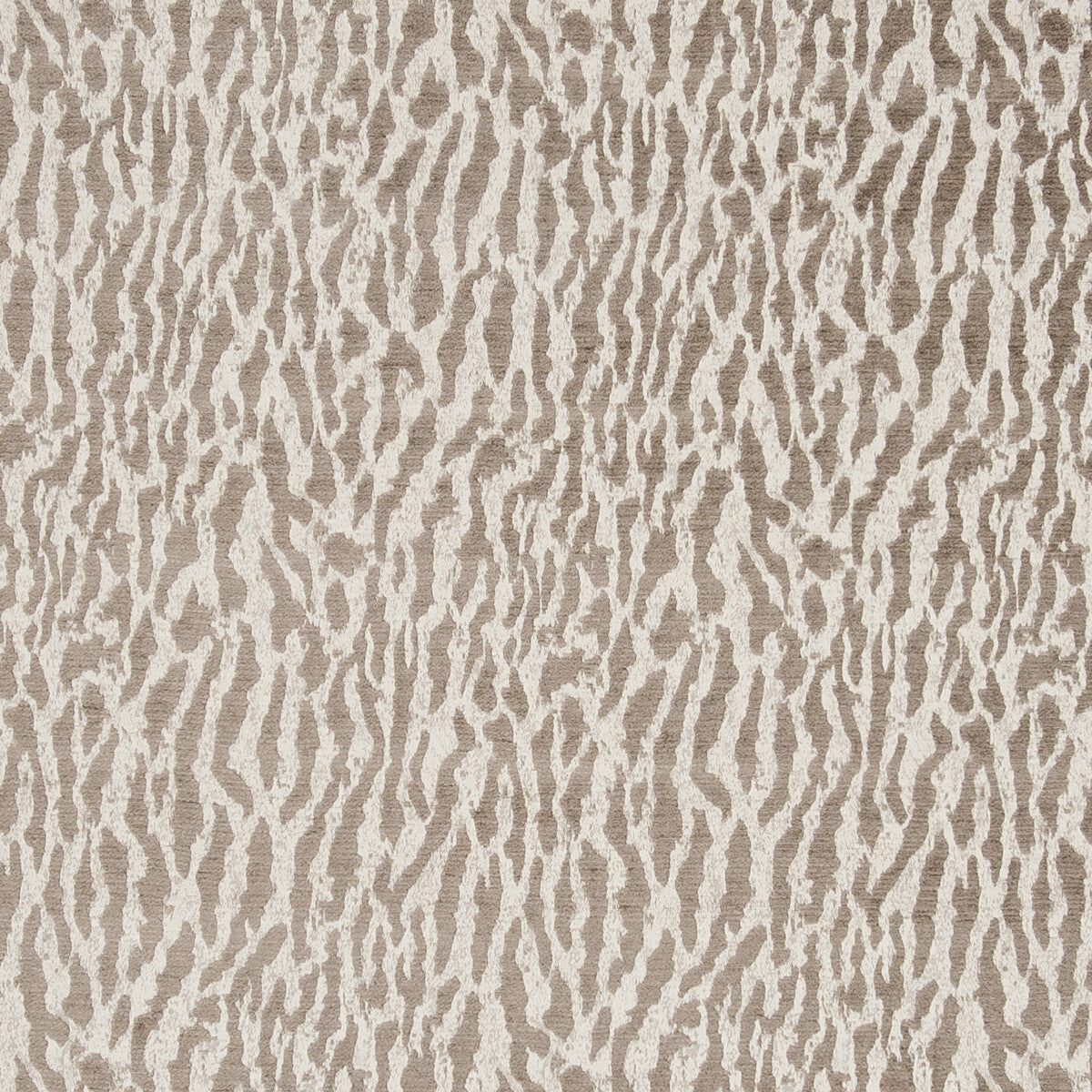 CLARKE AND CLARKE GAUTIER TAUPE