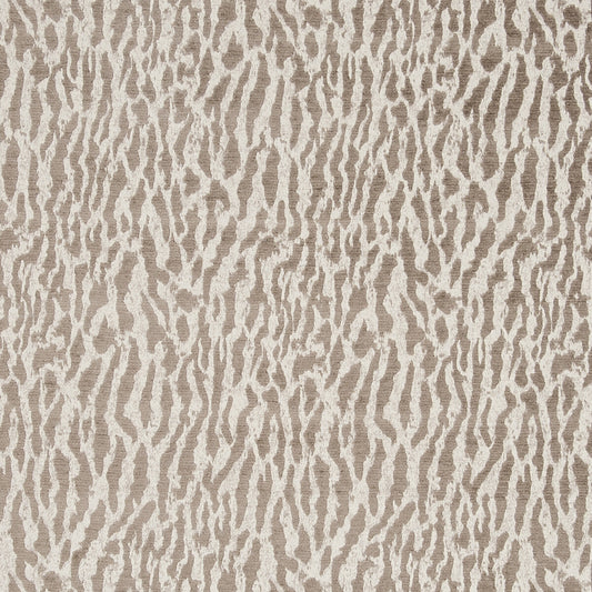 CLARKE AND CLARKE GAUTIER TAUPE
