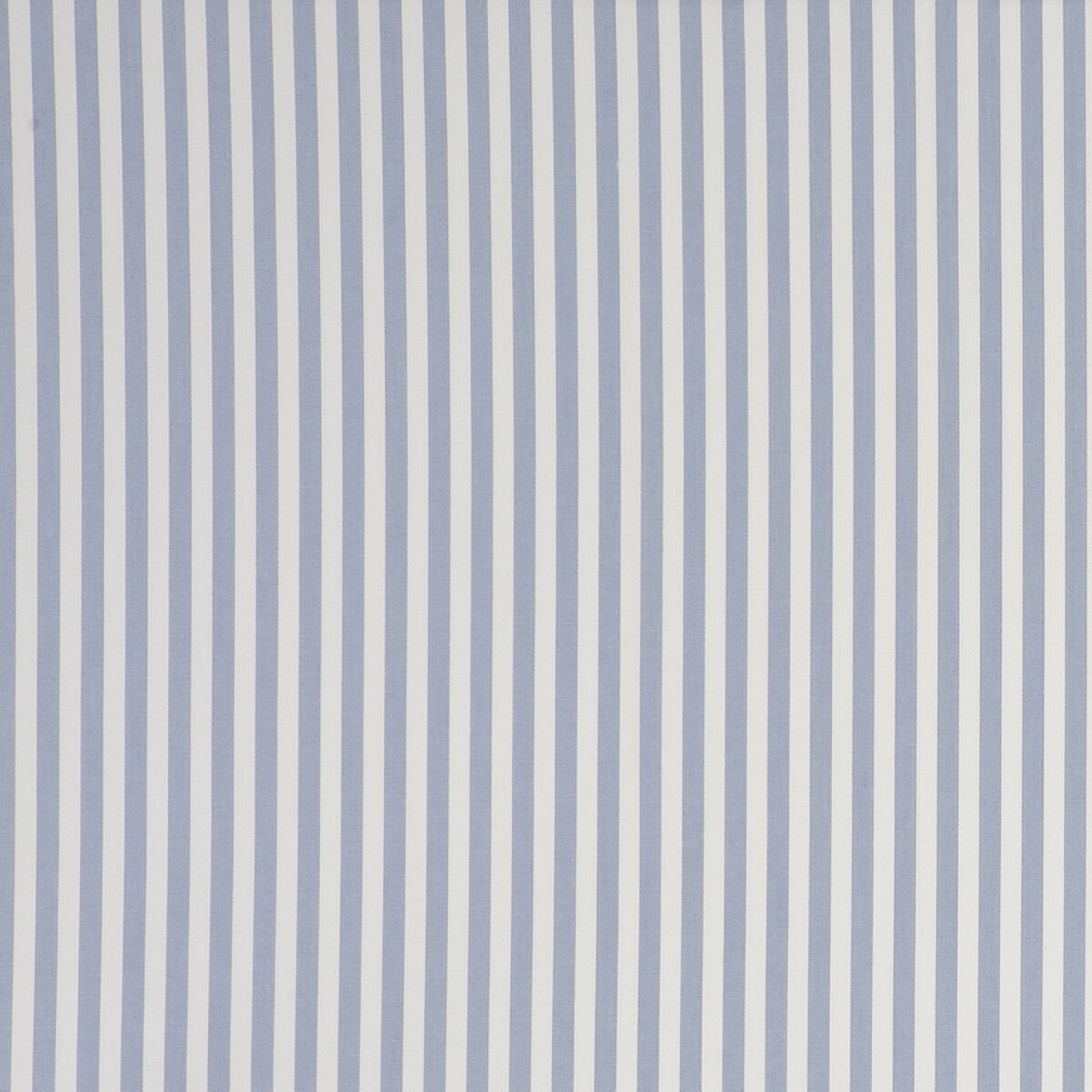 CLARKE AND CLARKE PARTY STRIPE STRIPE CHAMBRAY