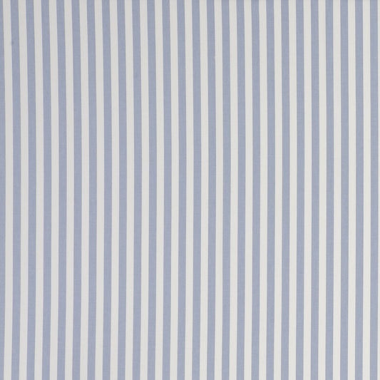 CLARKE AND CLARKE PARTY STRIPE STRIPE CHAMBRAY