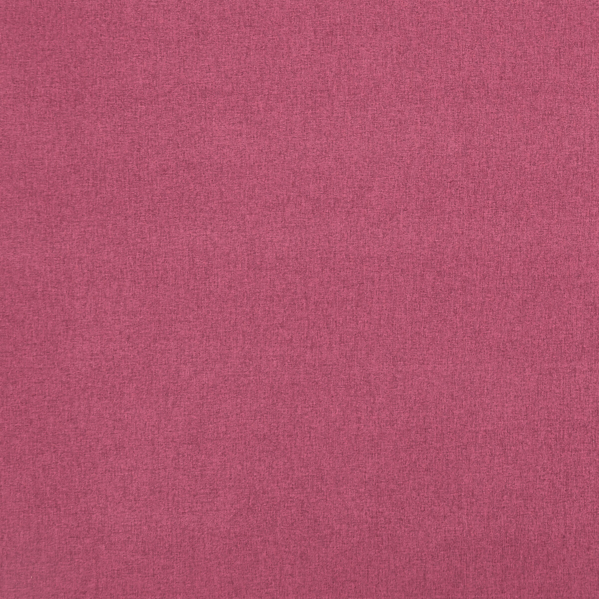 CLARKE AND CLARKE HIGHLANDER FUCHSIA