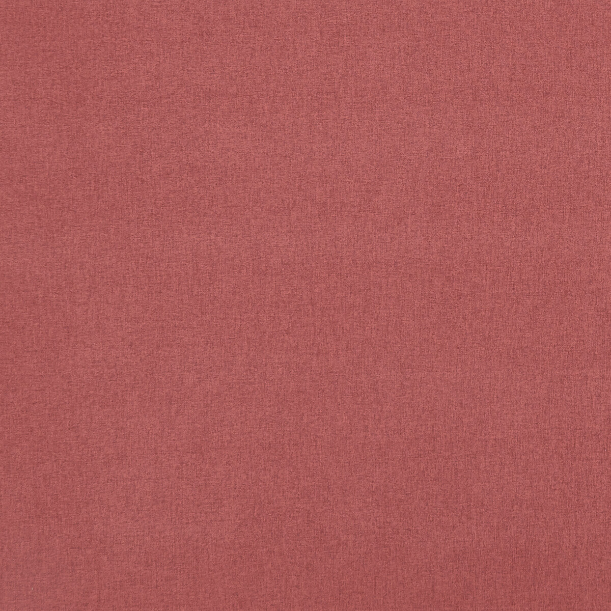 CLARKE AND CLARKE HIGHLANDER GARNET ROSE