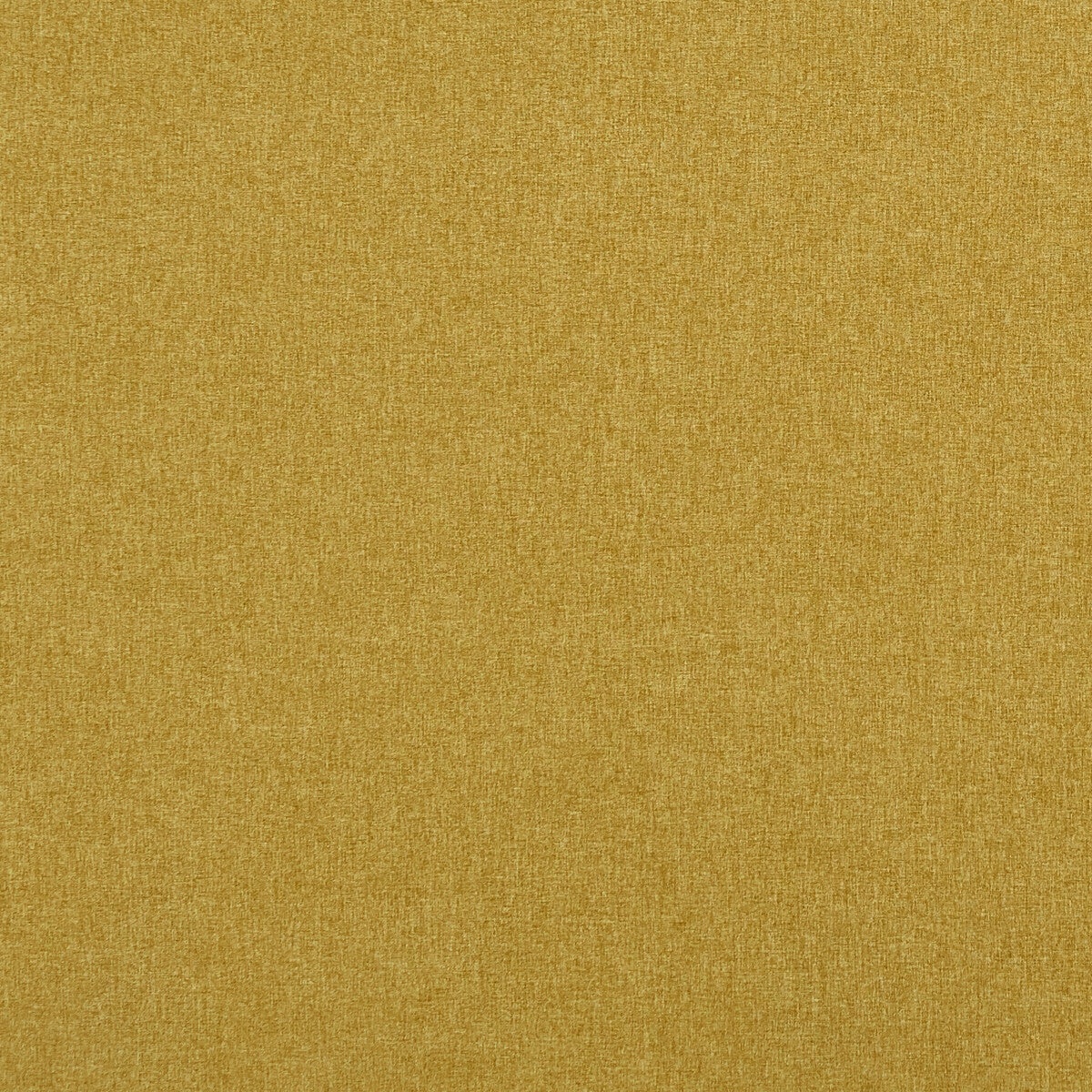 CLARKE AND CLARKE HIGHLANDER GOLD