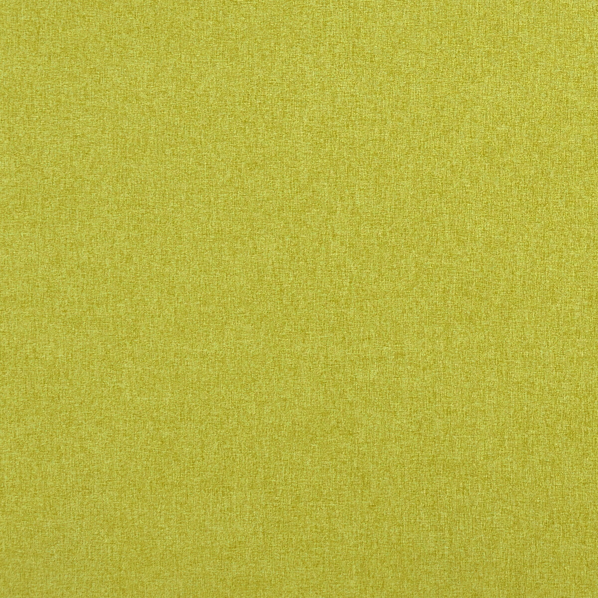 CLARKE AND CLARKE HIGHLANDER CHARTREUSE