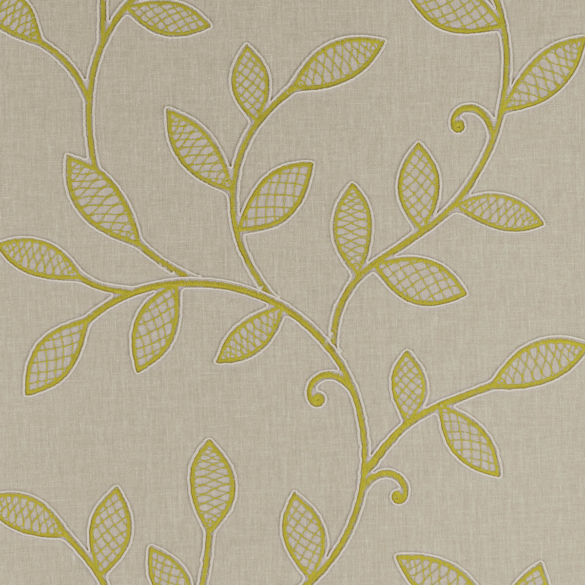 CLARKE AND CLARKE HETTON ACACIA