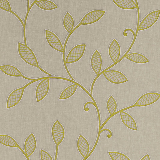 CLARKE AND CLARKE HETTON ACACIA